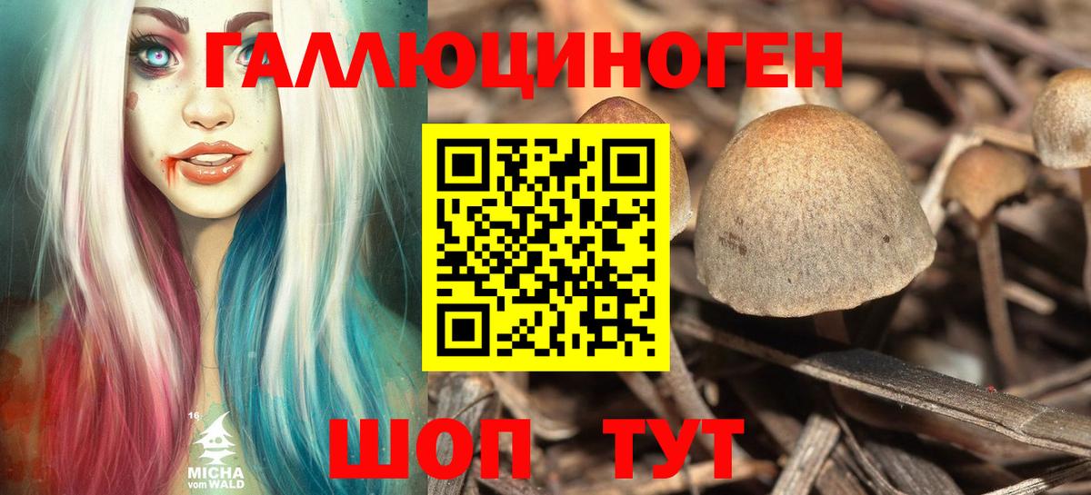 Галлюциногенные грибы Psilocybine cubensis Серов